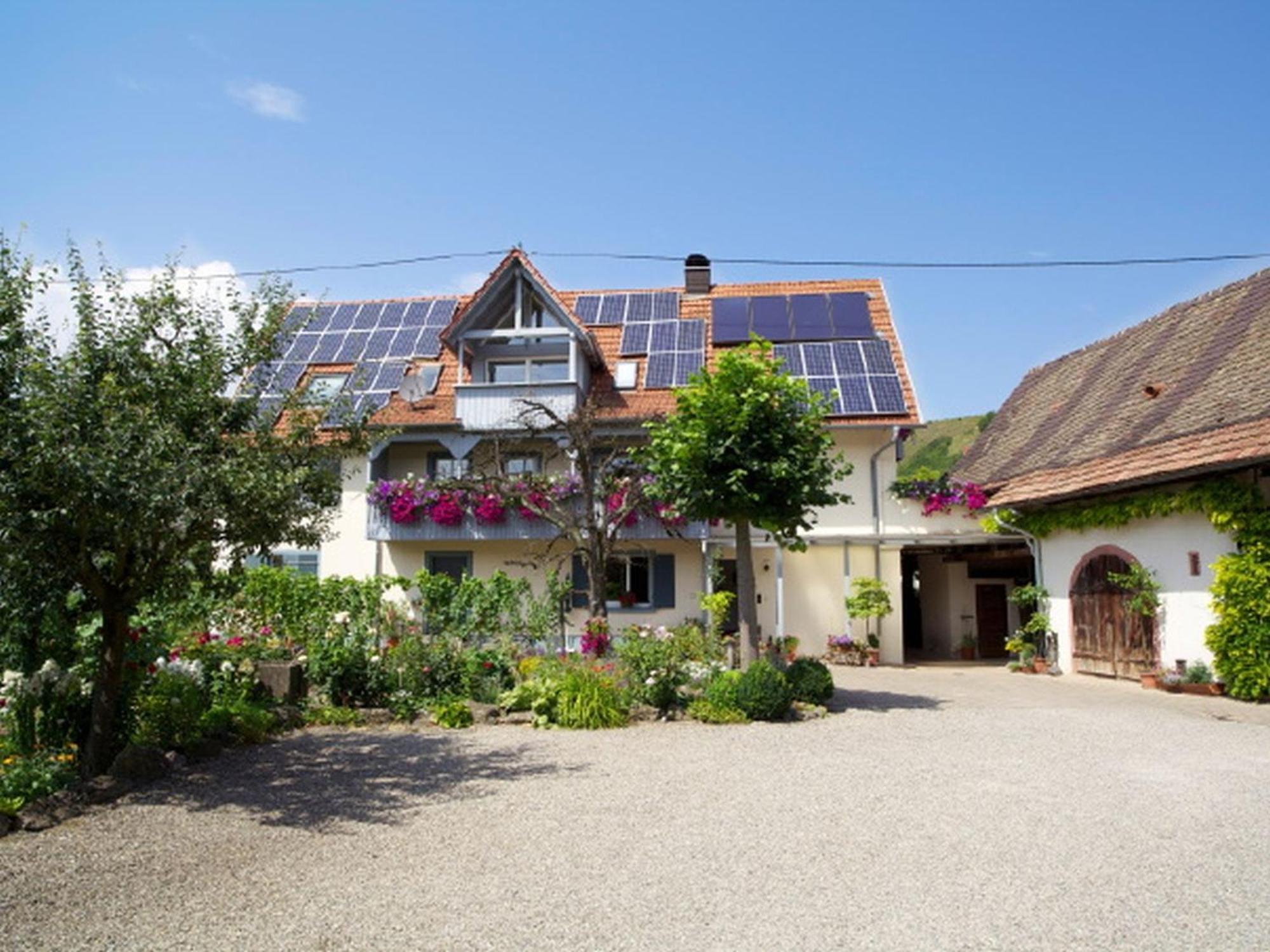 Winzerhof Bitzenhofer Apartman Vogtsburg Kültér fotó